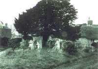 The churchyard with the tree and gravestones