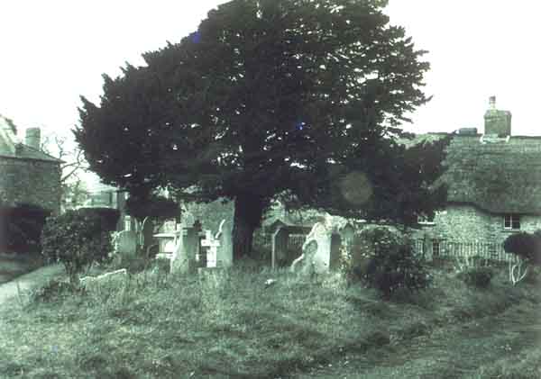 The churchyard with the trees & gravestones in place 