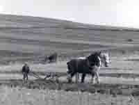 Dave Legg's Ploughing Match at the top of Marsh Barn Hill 