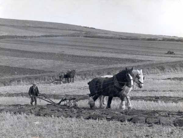 Dave Legg's Ploughing Match at the top of Marsh Barn Hill <BR>