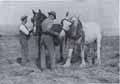 Haymaking - Edgar Hawkins & Erne Thorne with horses Colonel & Champion
