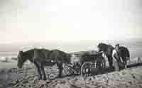 Horse and cart getting shingle off the beach