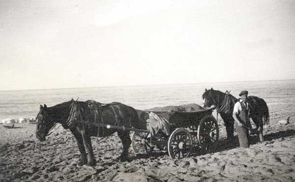 Horse & cart getting shingle off the beach 