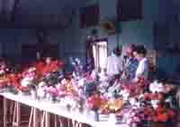 Part of the 1984 Flower & vegetable Show