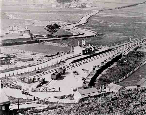The goods yard & railway station when horses were still used 