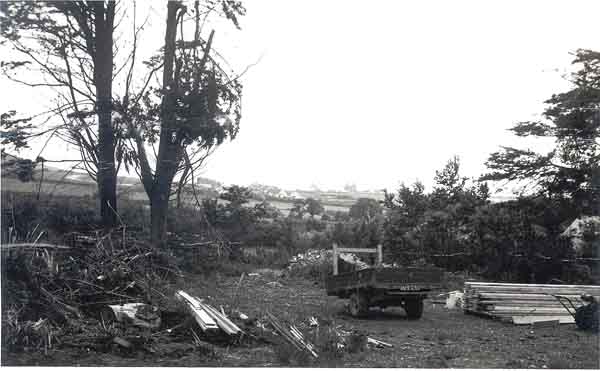 View towards the cliffs from the building site of 31 Annings Lane - note no bungalows in the lane at that time