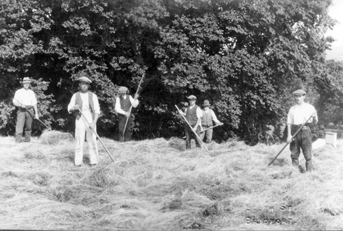 Greta's father Douglas Hawkins haymaking - he ran Townsend Farm