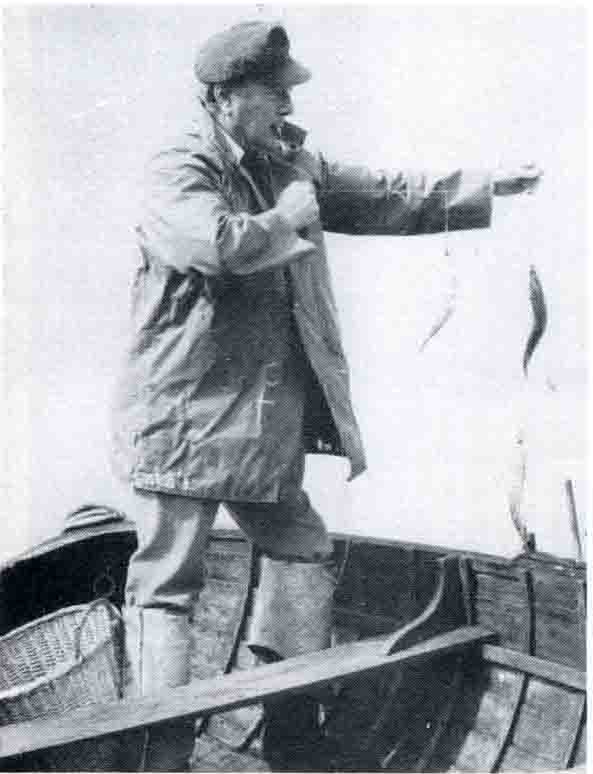 Catching mackerel