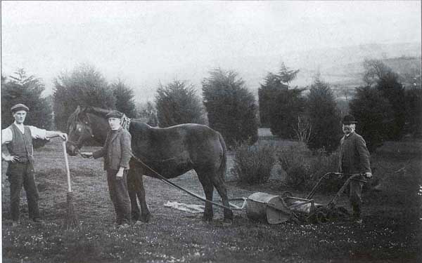 Lawn cutting at Norburton around 1905