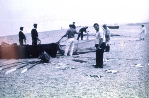 Sorting out the catch - Mr & Mrs Brown 1955 