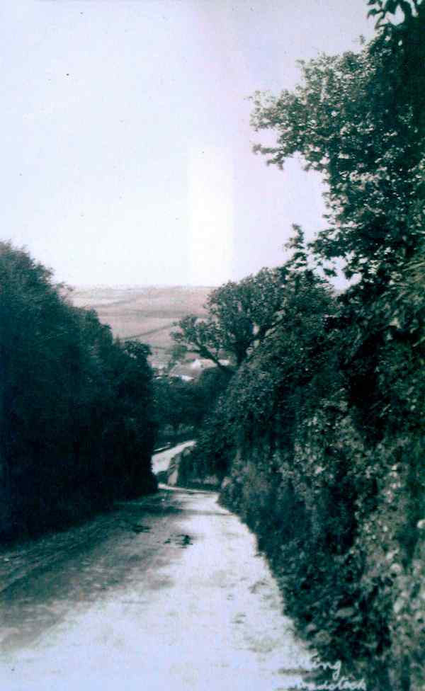 Cliff Road or The Cutting