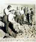 US Army soldiers having a hair cut on the beach