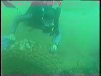 Close up of tyre with a diver