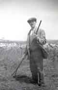 Edgar Hitt raking on his farm at Cliff Tops c1935