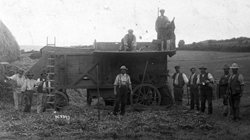 Douglas Hawkins and men harvesting