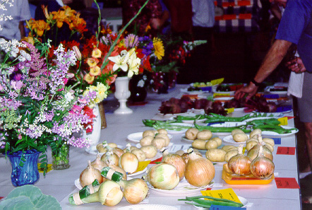 Flowers & Veg Show July 1999